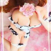 ヒメ日記 2026/02/03 08:43 投稿 せりな 熟女の風俗最終章 新潟店