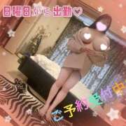 ヒメ日記 2026/02/07 08:53 投稿 せりな 熟女の風俗最終章 新潟店