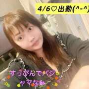 ヒメ日記 2026/04/04 13:27 投稿 せりな 熟女の風俗最終章 新潟店