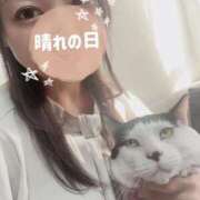 ヒメ日記 2025/03/14 12:24 投稿 のあ セレブクエスト-koshigaya-