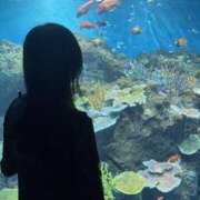 ヒメ日記 2025/04/17 07:28 投稿 のあ セレブクエスト-koshigaya-