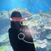 ヒメ日記 2025/04/18 20:58 投稿 のあ セレブクエスト-koshigaya-