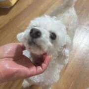 ヒメ日記 2025/05/16 09:13 投稿 のあ セレブクエスト-koshigaya-