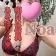 ヒメ日記 2025/07/17 12:09 投稿 のあ セレブクエスト-koshigaya-