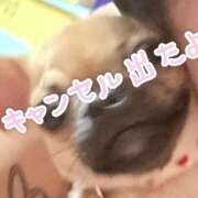 ヒメ日記 2025/08/21 10:21 投稿 のあ セレブクエスト-koshigaya-