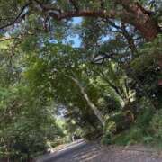 ヒメ日記 2025/08/21 17:36 投稿 のあ セレブクエスト-koshigaya-