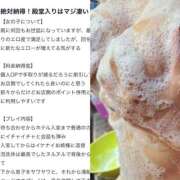 ヒメ日記 2025/09/09 22:22 投稿 のあ セレブクエスト-koshigaya-