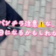 ヒメ日記 2025/10/09 06:19 投稿 のあ セレブクエスト-koshigaya-