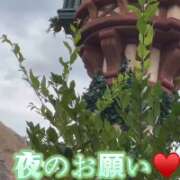 ヒメ日記 2025/10/14 12:06 投稿 のあ セレブクエスト-koshigaya-