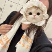 ヒメ日記 2025/11/07 19:03 投稿 のあ セレブクエスト-koshigaya-