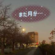 ヒメ日記 2025/12/05 06:09 投稿 のあ セレブクエスト-koshigaya-