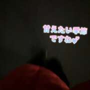 ヒメ日記 2025/12/11 06:05 投稿 のあ セレブクエスト-koshigaya-