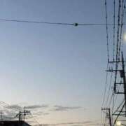 ヒメ日記 2026/02/05 06:28 投稿 のあ セレブクエスト-koshigaya-