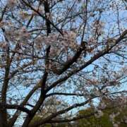 ヒメ日記 2026/03/27 06:25 投稿 のあ セレブクエスト-koshigaya-