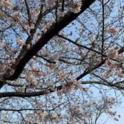 ヒメ日記 2026/03/29 07:05 投稿 のあ セレブクエスト-koshigaya-