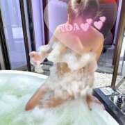 ヒメ日記 2026/04/03 14:57 投稿 のあ セレブクエスト-koshigaya-