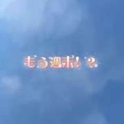 ヒメ日記 2026/05/16 06:08 投稿 のあ セレブクエスト-koshigaya-