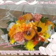 ヒメ日記 2026/05/29 02:03 投稿 りな One More 奥様　錦糸町店