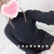 ヒメ日記 2025/04/01 16:18 投稿 えあ 品川ハイブリッドマッサージ