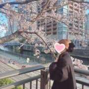 ヒメ日記 2025/04/17 13:08 投稿 えあ 品川ハイブリッドマッサージ