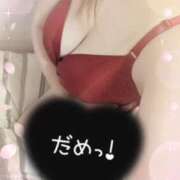 ヒメ日記 2026/02/14 14:10 投稿 深井ひろ子 五十路マダムエクスプレス豊橋店（カサブランカグループ）