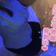 ヒメ日記 2025/02/21 13:08 投稿 ウニ 女の子市場