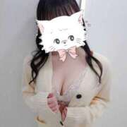 ヒメ日記 2025/02/16 19:55 投稿 ねね☆レアキャラ☆ 激安フェアリーワンダーランド～従順ど変態＆濃厚ど痴女まみれ〜大人の遊園地〜