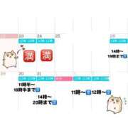 ヒメ日記 2024/12/22 20:15 投稿 みなみ 11チャンネル