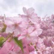 ヒメ日記 2025/03/16 08:00 投稿 みなみ 11チャンネル