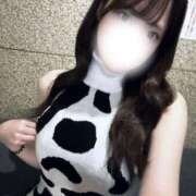 ヒメ日記 2025/04/03 09:36 投稿 みなみ 11チャンネル