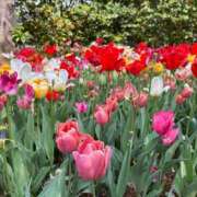 ヒメ日記 2025/04/22 19:22 投稿 みなみ 11チャンネル