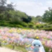 ヒメ日記 2025/04/24 16:49 投稿 みなみ 11チャンネル