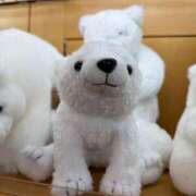 みなみ 🚨明日の予約について🚨 11チャンネル