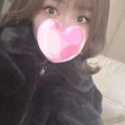 ヒメ日記 2025/01/31 06:36 投稿 おとは★魅力的なH痴女★ 激安フェアリーワンダーランド～従順ど変態＆濃厚ど痴女まみれ〜大人の遊園地〜