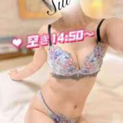 ヒメ日記 2025/09/13 07:01 投稿 翠(すい) Locker room 本庄、藤岡店