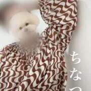 ヒメ日記 2026/01/06 23:03 投稿 嶺井 ちなつ HANA-okinawa-