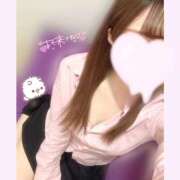 ヒメ日記 2025/02/17 08:51 投稿 かれん 2980円