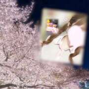 ヒメ日記 2026/04/14 11:53 投稿 かれん 2980円