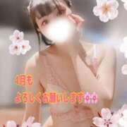 ヒメ日記 2025/04/01 22:06 投稿 めぐ VIPクリスタル