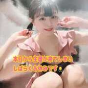 ヒメ日記 2025/06/02 12:02 投稿 めぐ VIPクリスタル