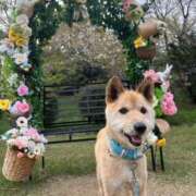 ヒメ日記 2025/11/01 14:38 投稿 めぐ VIPクリスタル