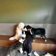 ヒメ日記 2025/04/28 09:35 投稿 あきら 逆痴漢