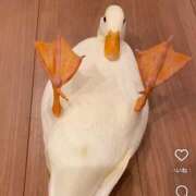 ヒメ日記 2026/01/04 11:11 投稿 あきら 逆痴漢