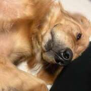 ヒメ日記 2026/01/26 13:53 投稿 あきら 逆痴漢