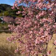 ヒメ日記 2026/02/16 11:27 投稿 あきら 逆痴漢
