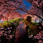 ヒメ日記 2026/04/08 10:36 投稿 あきら 逆痴漢