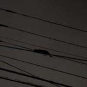 ヒメ日記 2026/09/03 09:43 投稿 あきら 逆痴漢