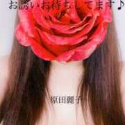 ヒメ日記 2024/12/07 15:28 投稿 原田麗子 五十路マダム静岡店（カサブランカG）