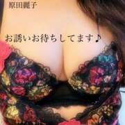 ヒメ日記 2024/12/12 14:18 投稿 原田麗子 五十路マダム静岡店（カサブランカG）