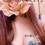 ヒメ日記 2024/12/14 12:48 投稿 原田麗子 五十路マダム静岡店（カサブランカG）